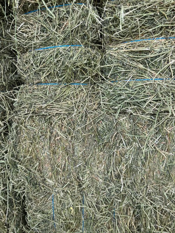 JD25 Alfalfa 1st cut