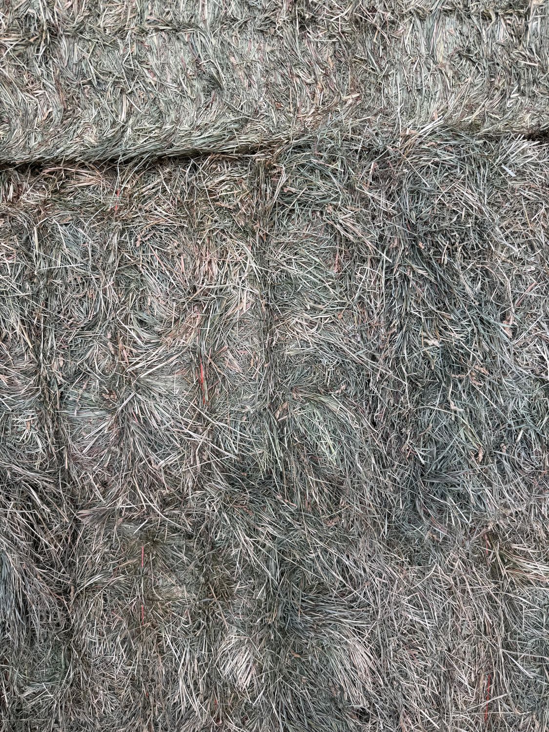 PT25 Big Bales Orchard Grass 951lbs