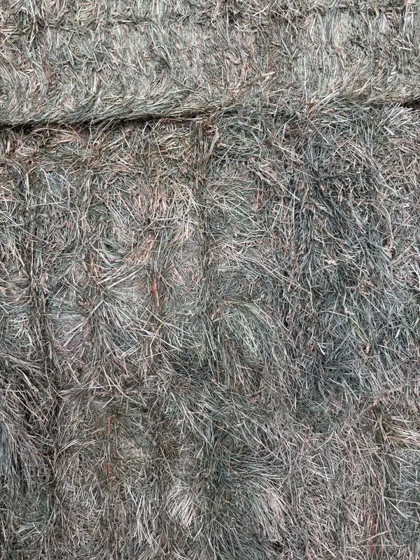 PT25 Big Bales Orchard Grass 951lbs