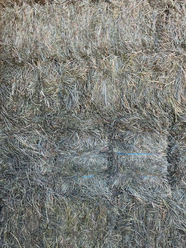 CSIP Orchard/Alfalfa 2nd Cut