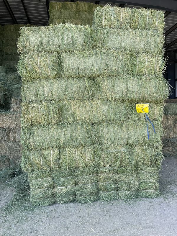 WCR25 2nd cut tim/orch/mead/bluegrass /alfalfa mix (Med/Heavy)