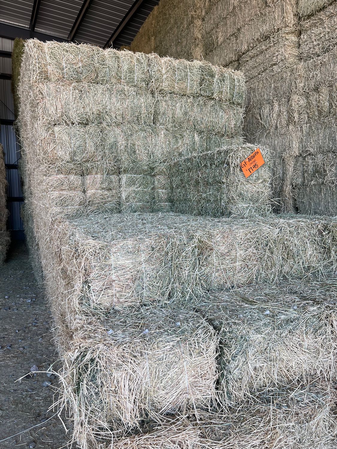 GF25 2nd Cut Alfalfa