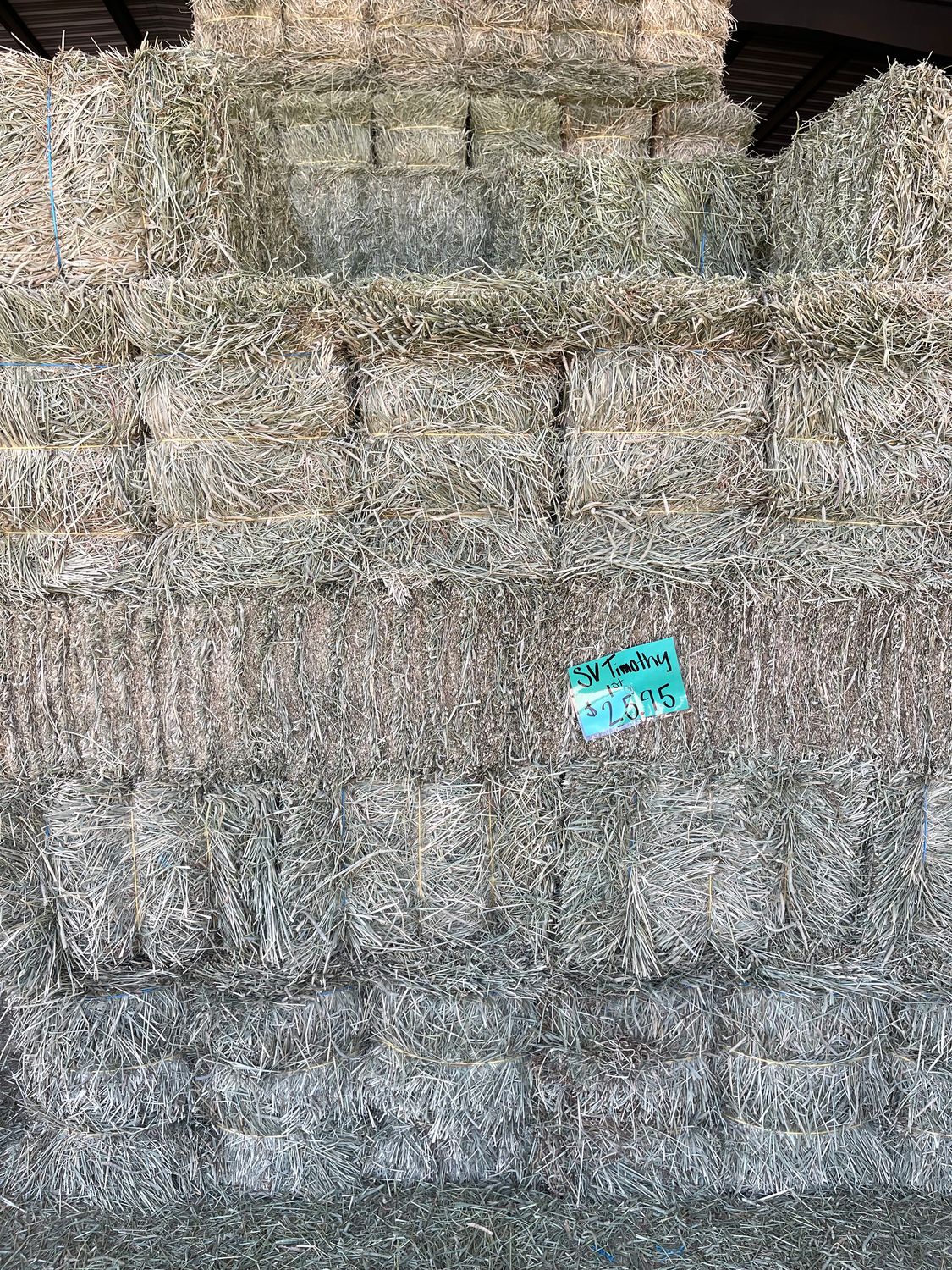 SV25 Timothy 1st cut