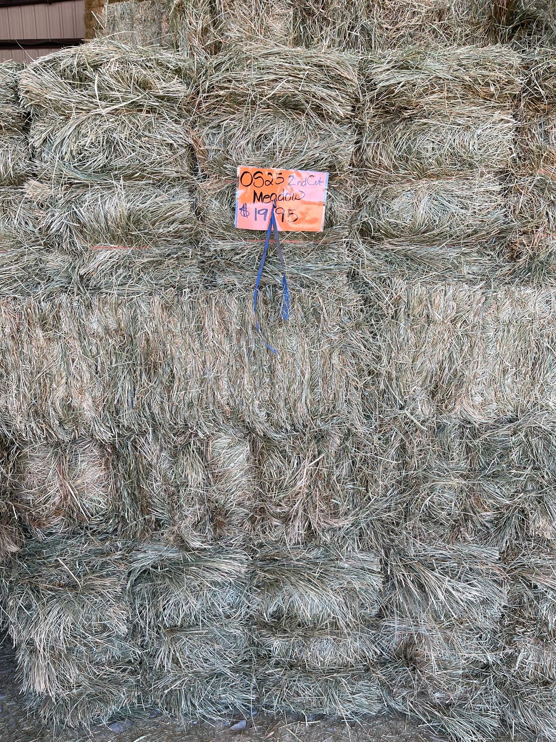 CE25 2nd Cut Orchard