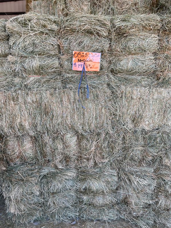 CE25 2nd Cut Orchard