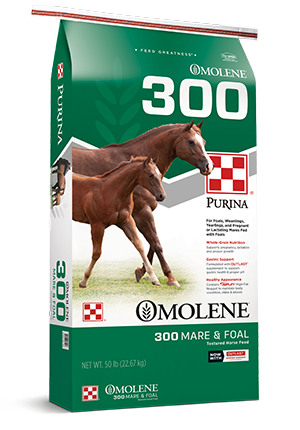 Purina Omolene 300 Mare/Foal 50 lbs.