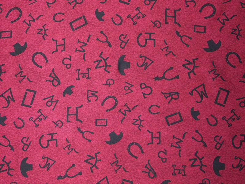 BRANDS, SPURS &amp; HATS BURGANDY WESTERN PRINT WILD RAG