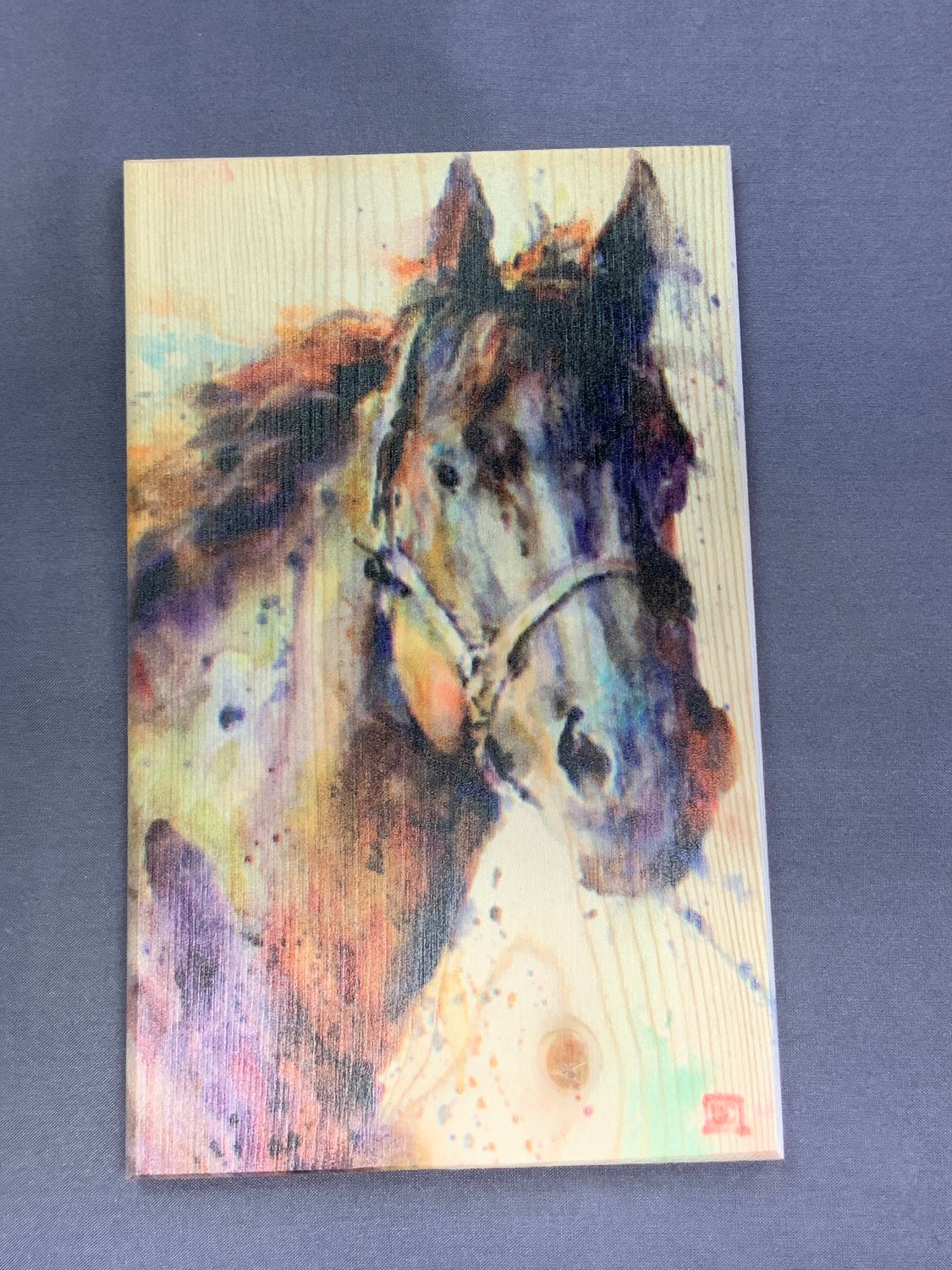 DAYDREAM POST CARD, Style: BLACK STALLION