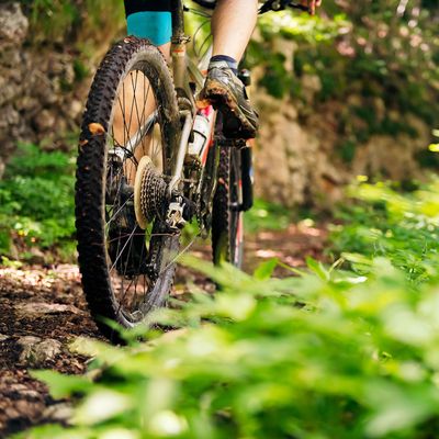 Mountain Bikes