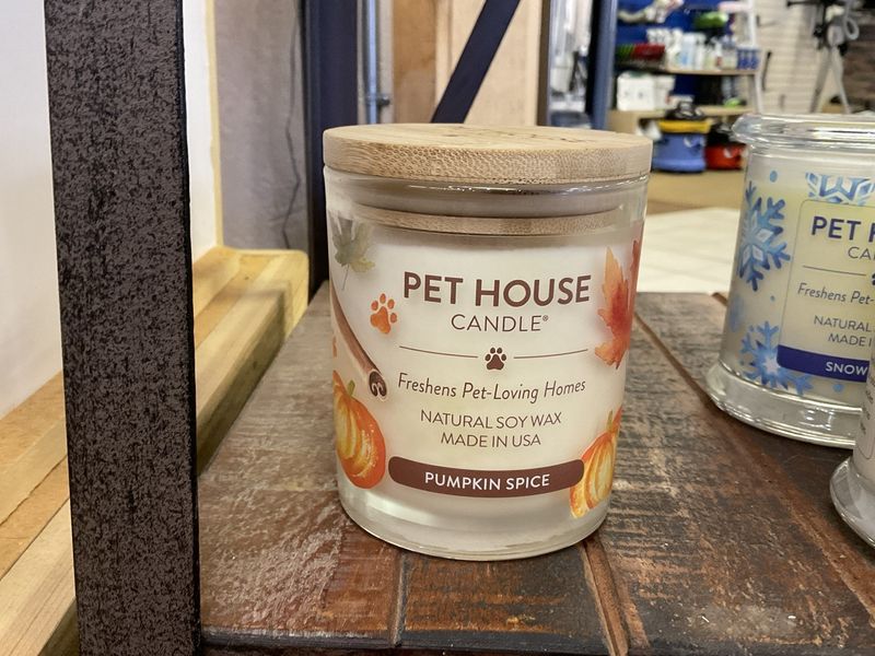 Pet House Pumpkin Spice