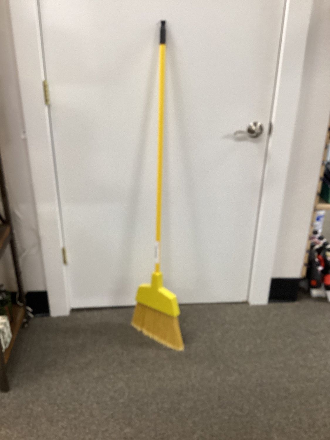 Yellow Broom