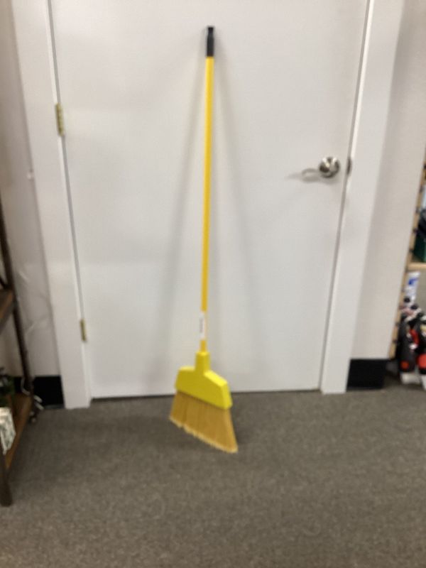 Yellow Broom