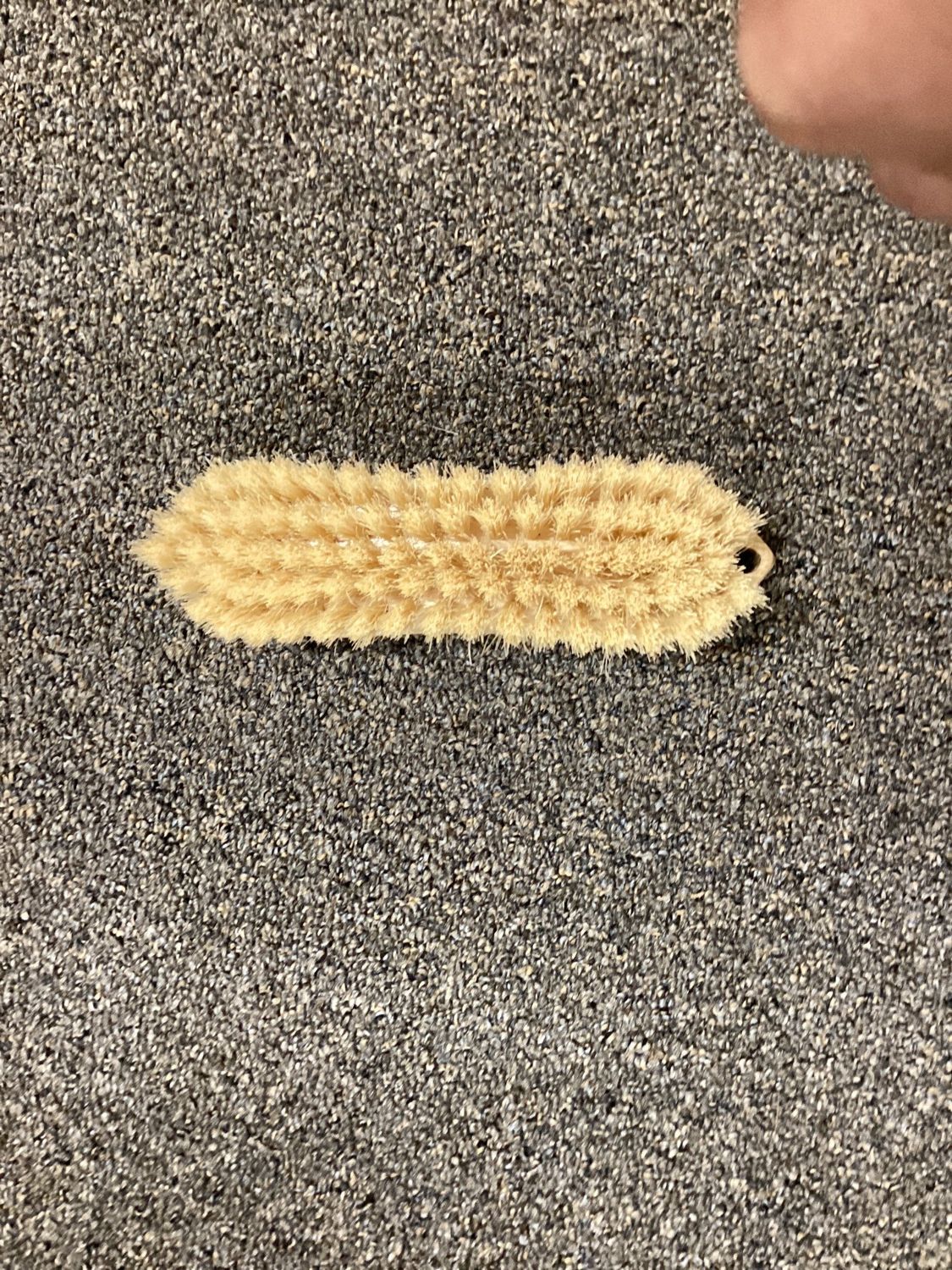 6” scrub Brush