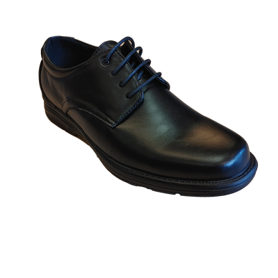 2133801 mens dess lace shoe
