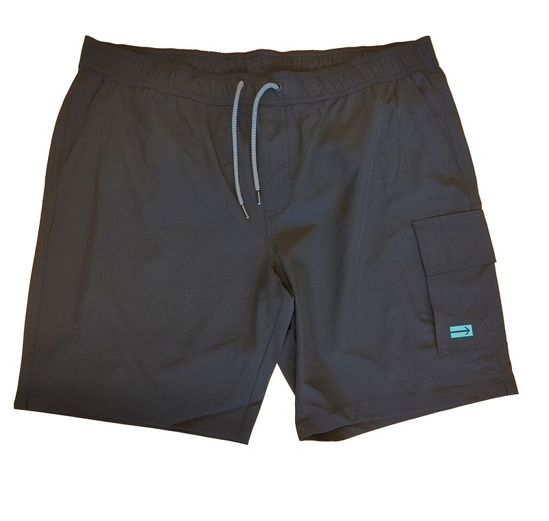 PPS24601 mens swim shorts