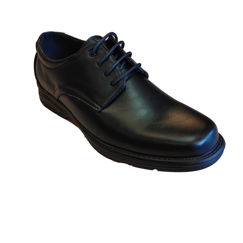 2133801 mens dess lace shoe