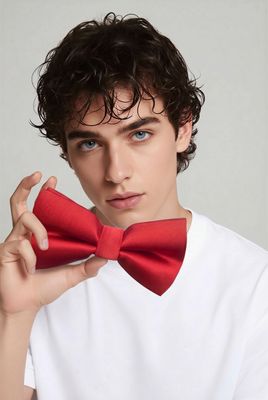 B75404 Men's bowtie