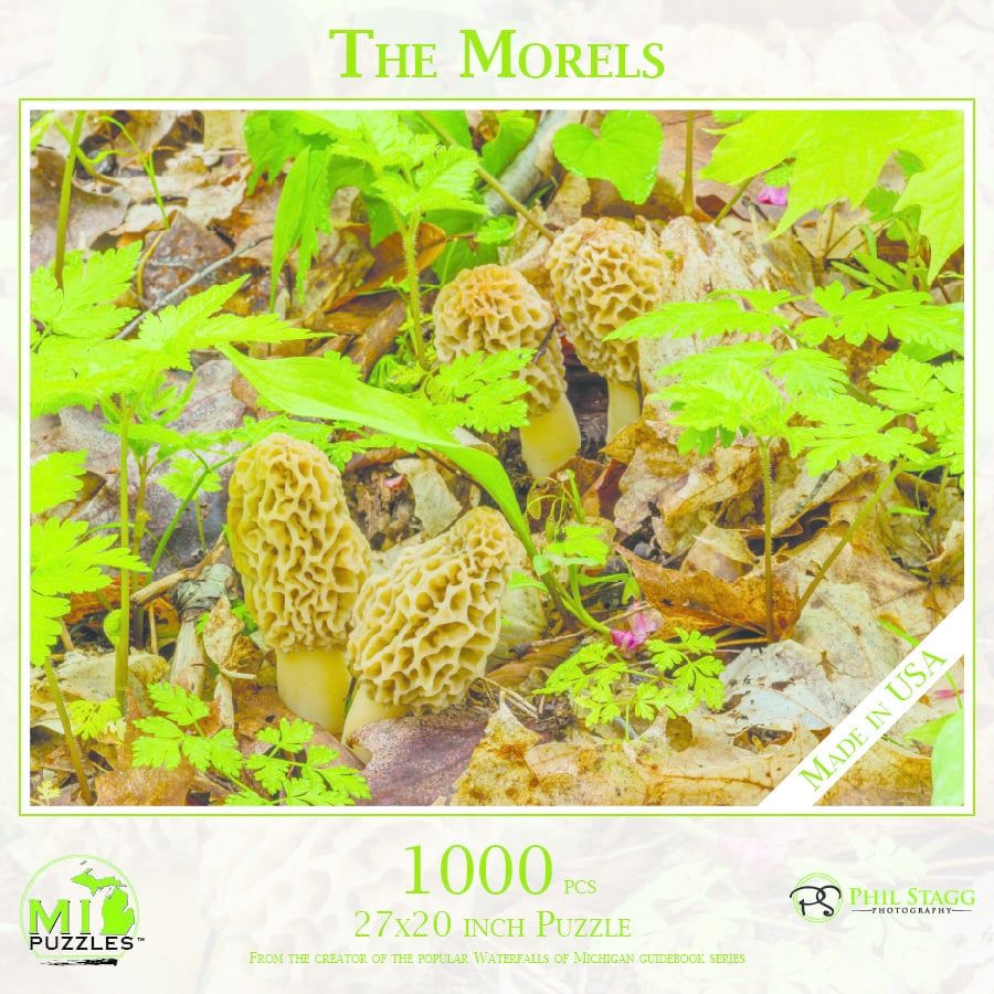 puz 1022 the morels puzzle