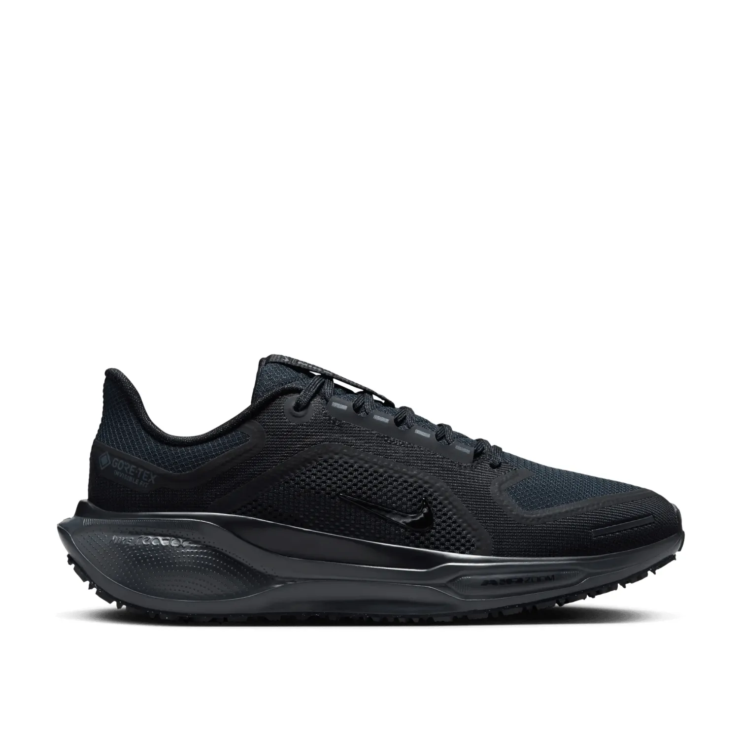 Nike Pegasus 41 GTX - Femme