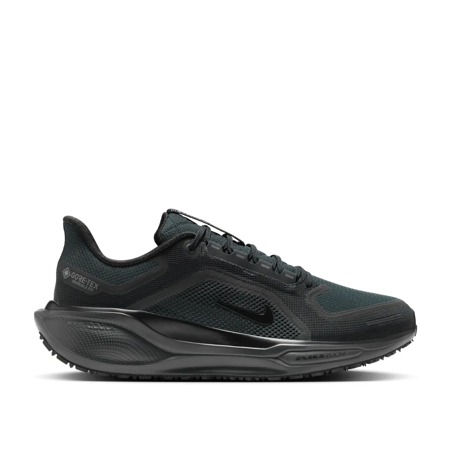 Nike Pegasus 41 GTX - Homme