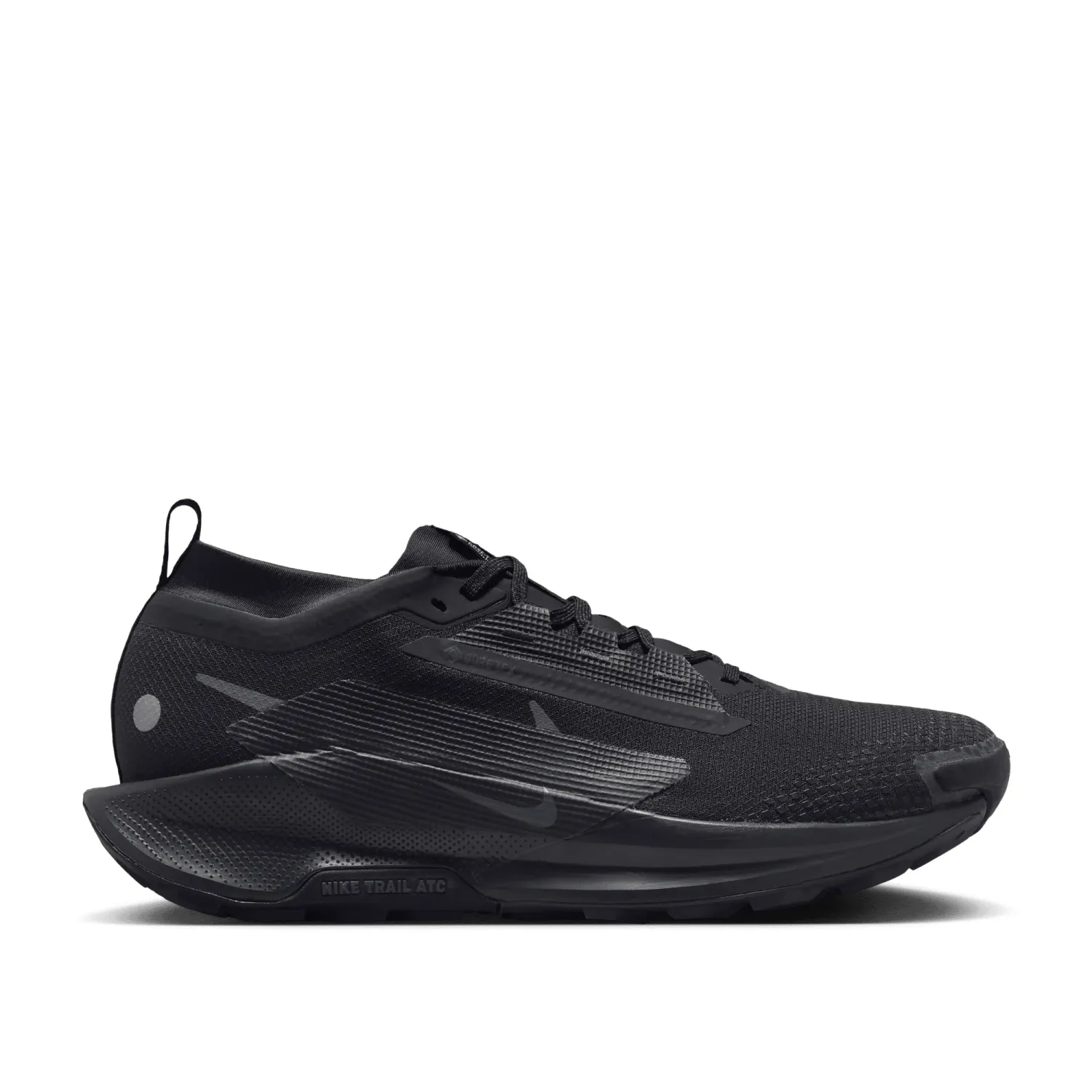 Nike Pegasus Trail 5 GTX - Homme