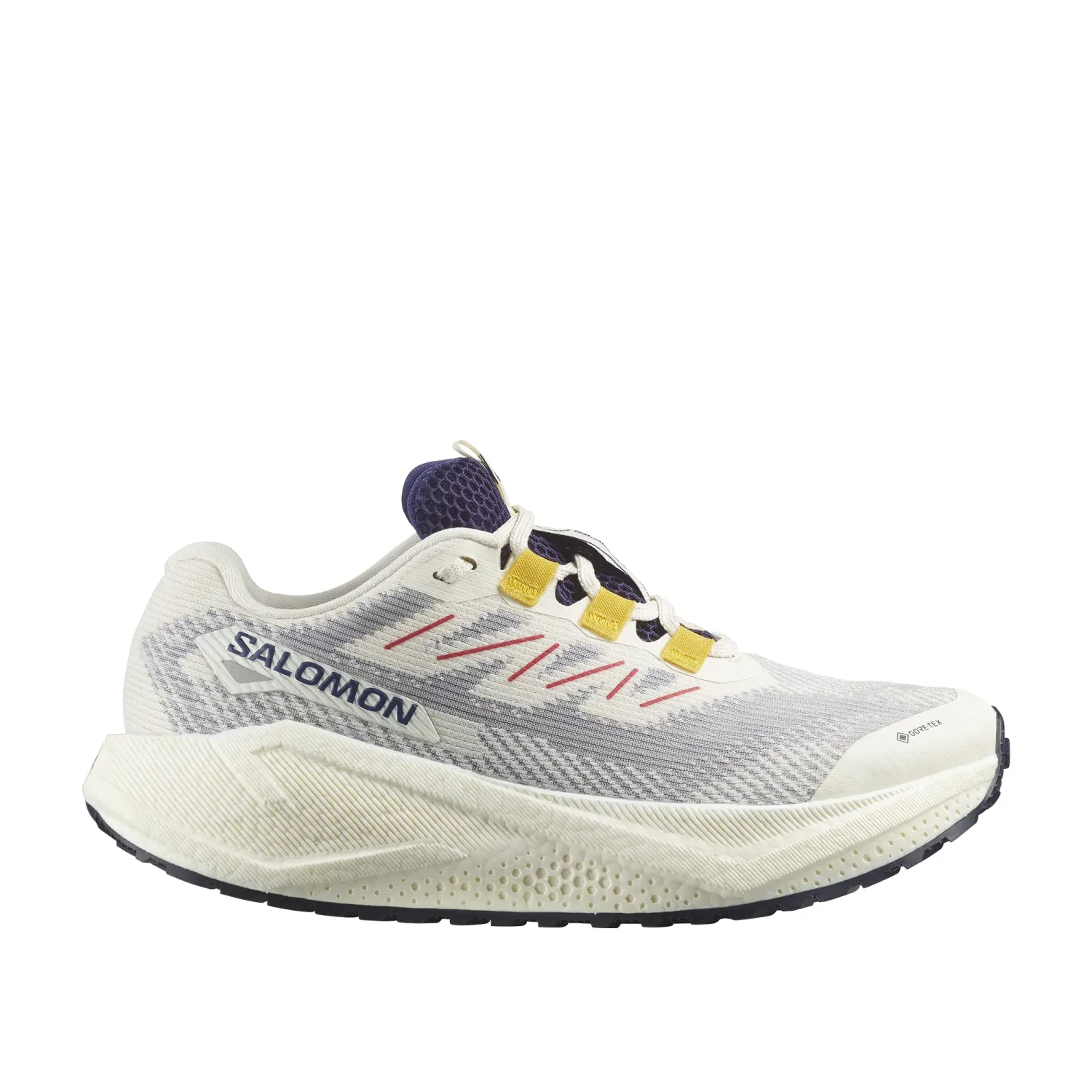 Salomon Aero Blaze 3 GRVL GTX - Femme