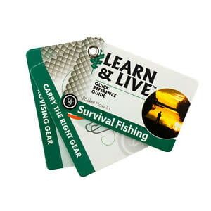 UST LEARN &amp; LIVE CARDS