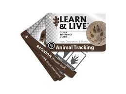 UST LEARN &amp; LIVE CARDS, Color: ANIMAL TRACKING