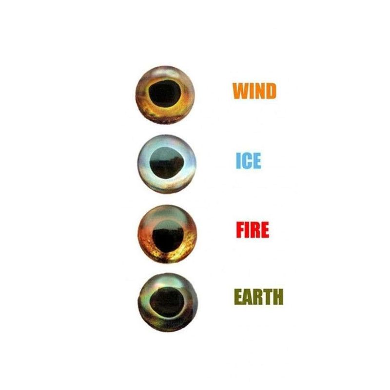 FS LIVING EYES