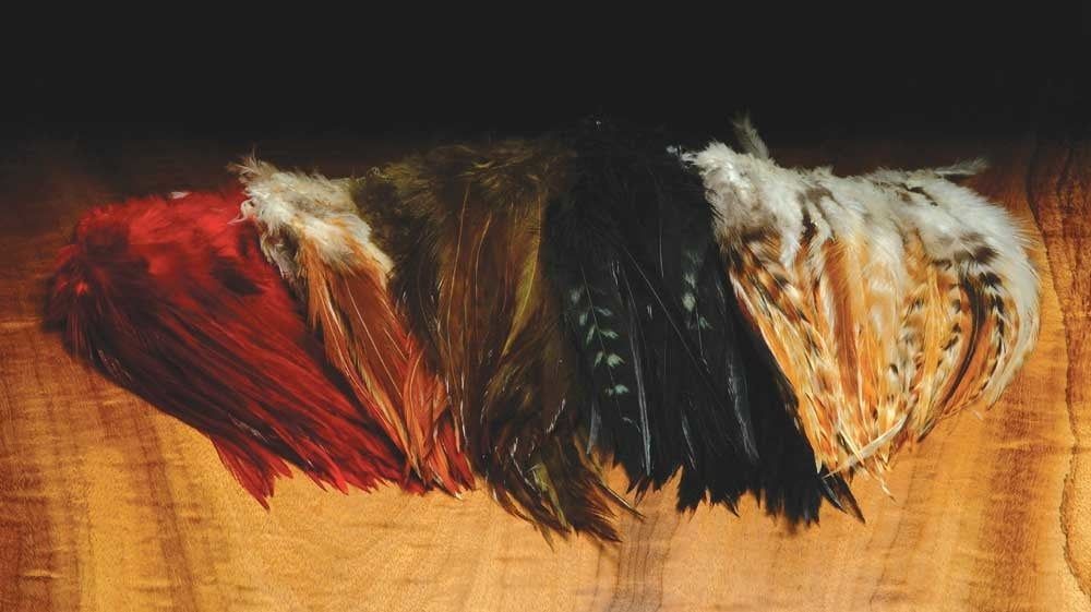 HAR WOOLY BUGGER SADDLE HACKLE