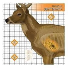 CHAMP X-RAY TARGET