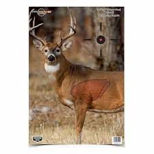 BWC PREGAME SPLATTERING TASRGET, TYPE: WHITETAIL DEER, SIZE: 16.5&quot;X24&quot; - 3PK