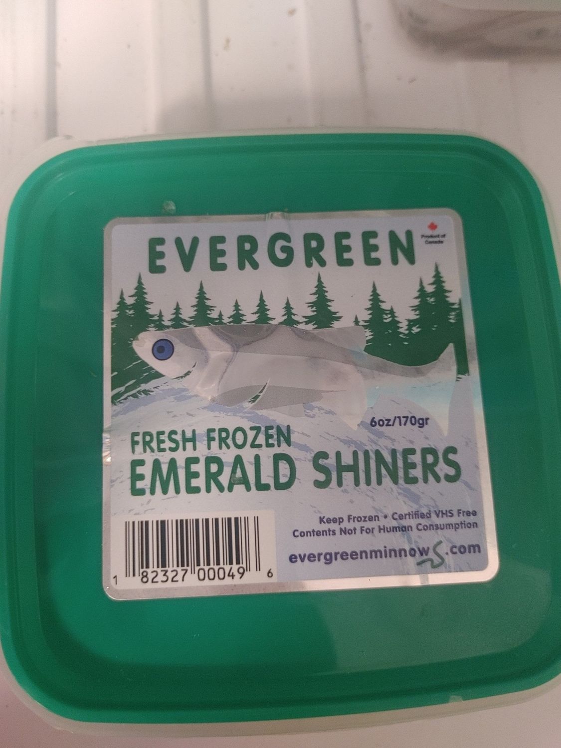 FLB EVERGREEN EMERALD SHINERS FROZEN MINNOW
