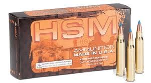 HSM 250 SAVAGE 75GR V-MAX 20PK