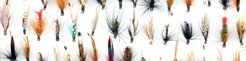 UJ ASST BULK FLY