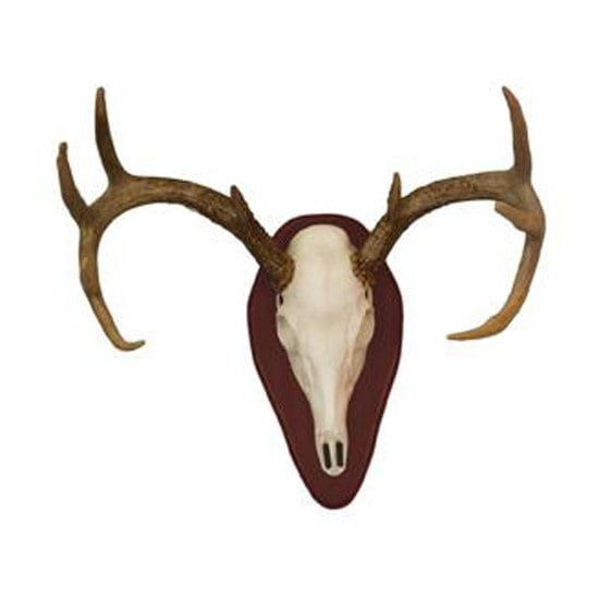 HS EURO HALF SKULL MOUNT KIT