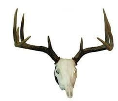 HS EUROPEAN MOUNT KIT