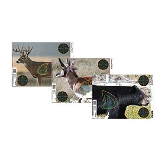 CHAMP VISICOLOR REAL LIFE: BIG GAME TARGET ASST 12PK
