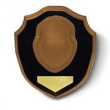 HS DEER ANTLER MOUNT