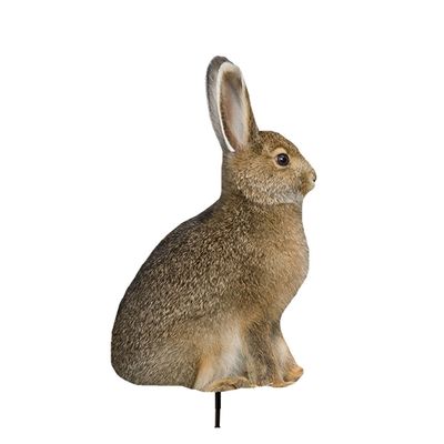 MD "MISS HOPTOBER" RABBIT DECOY