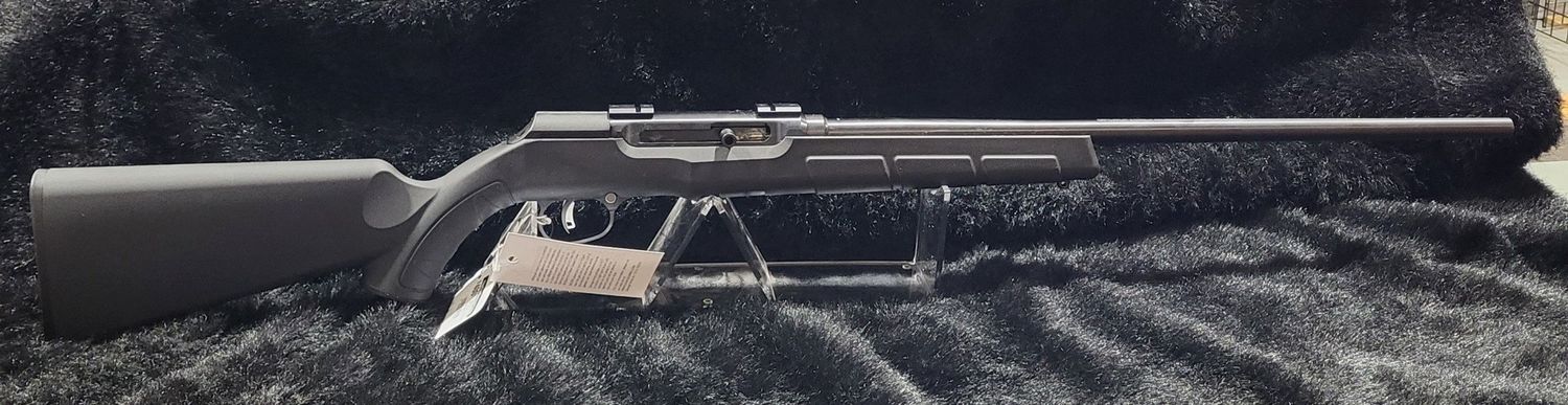 CONSIGN SAV A22 FNS 22LR BLACK SYN SEMI W/ SIGHTS