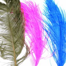 HH OSTRICH PLUME