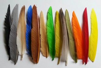 HH DUCK QUILL