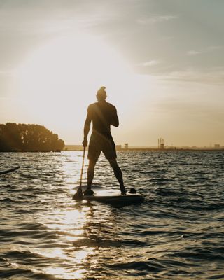 Paddle Board