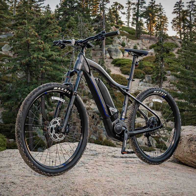 Yamaha YDX Torc 