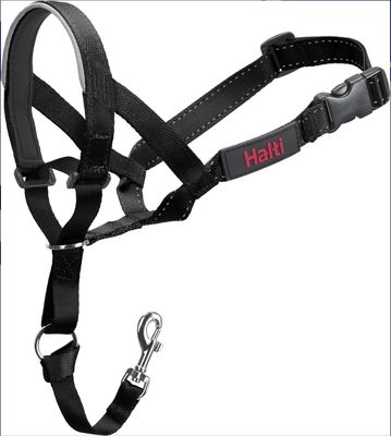 EZ Head Halter