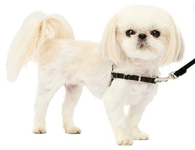Petite Easy Walk Harness (Black/Silver)