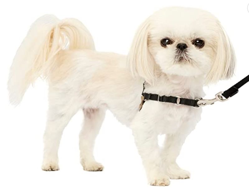 Petite Easy Walk Harness (Black/Silver)