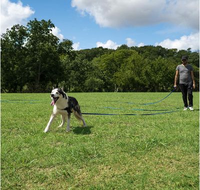 Hi Kiss Blue 15ft Backyard Dog Leash