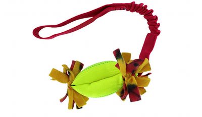 CR01 - Clean Run Treat Hugger Bungee Tug